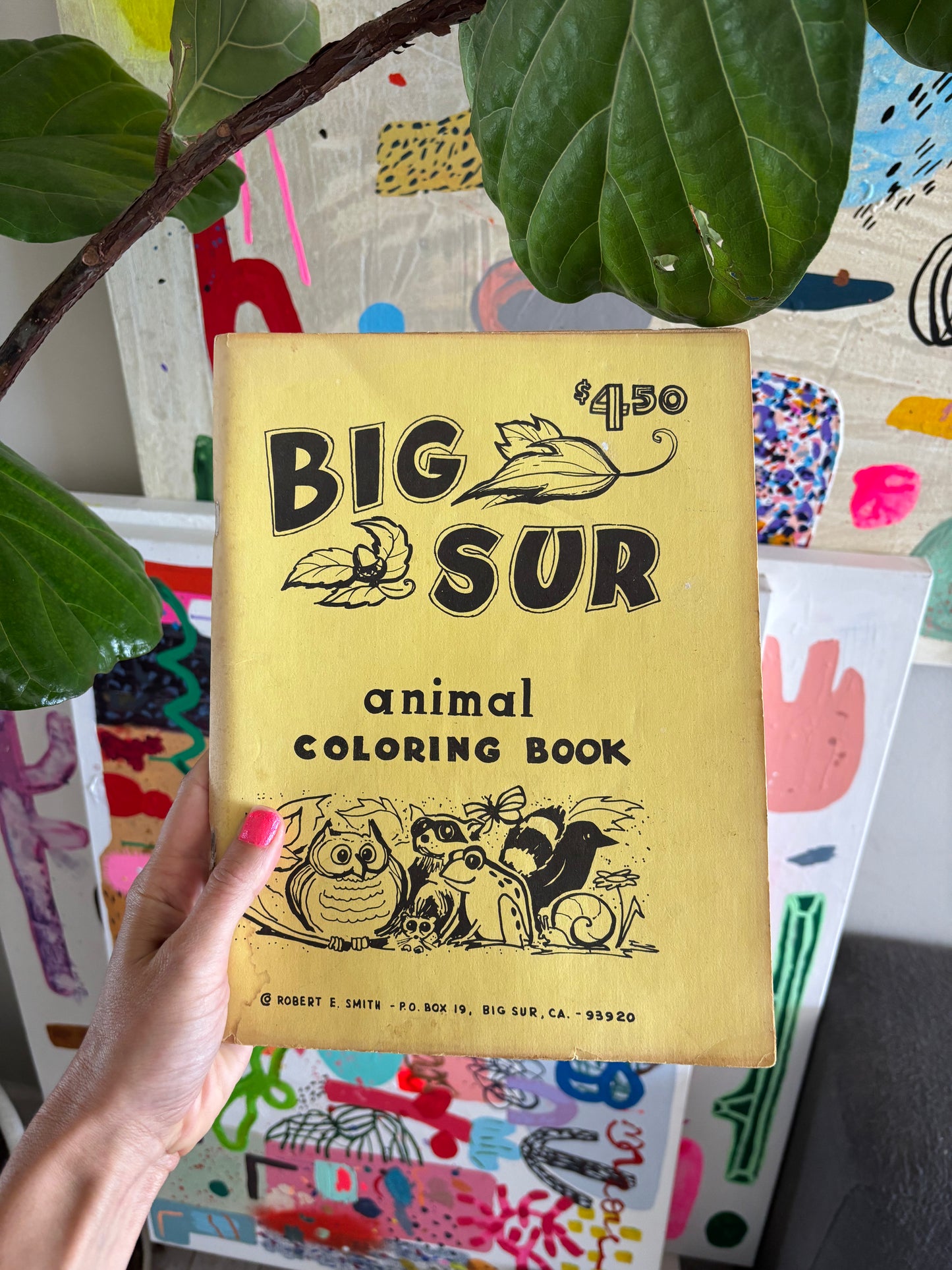 Pre-Order: 2026 Reissue Grandpa's Big Sur Coloring Book